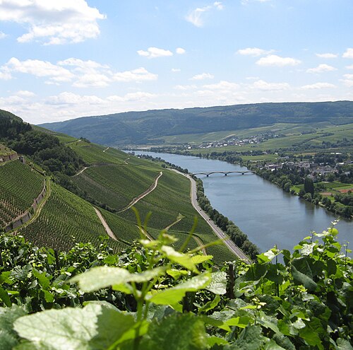 Mosel (river)